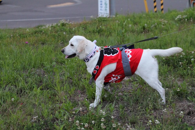 ファイル 126-3.jpg