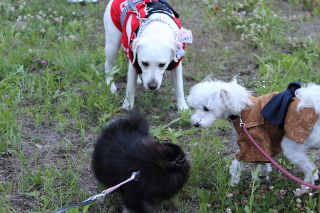 ファイル 126-4.jpg