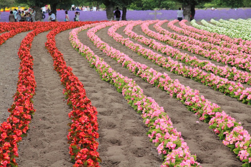 ファイル 128-3.jpg