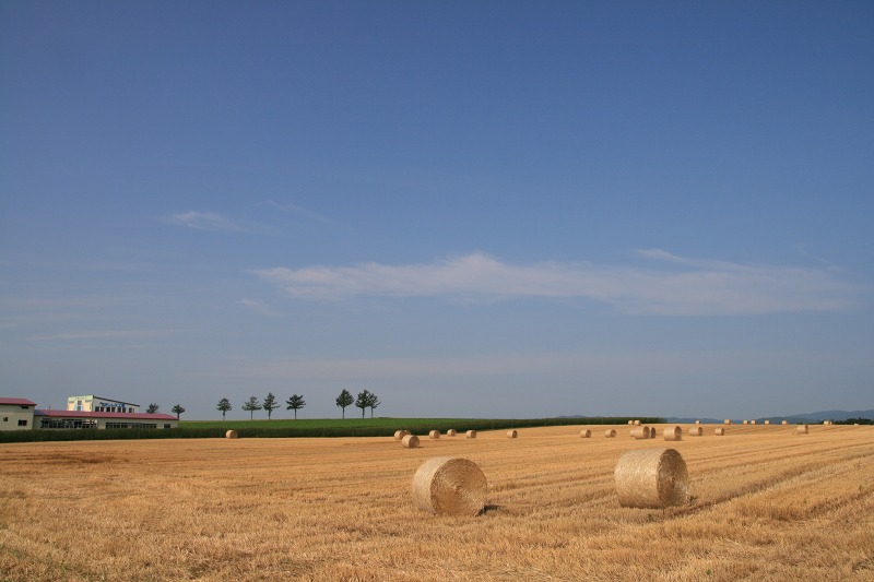 ファイル 132-1.jpg