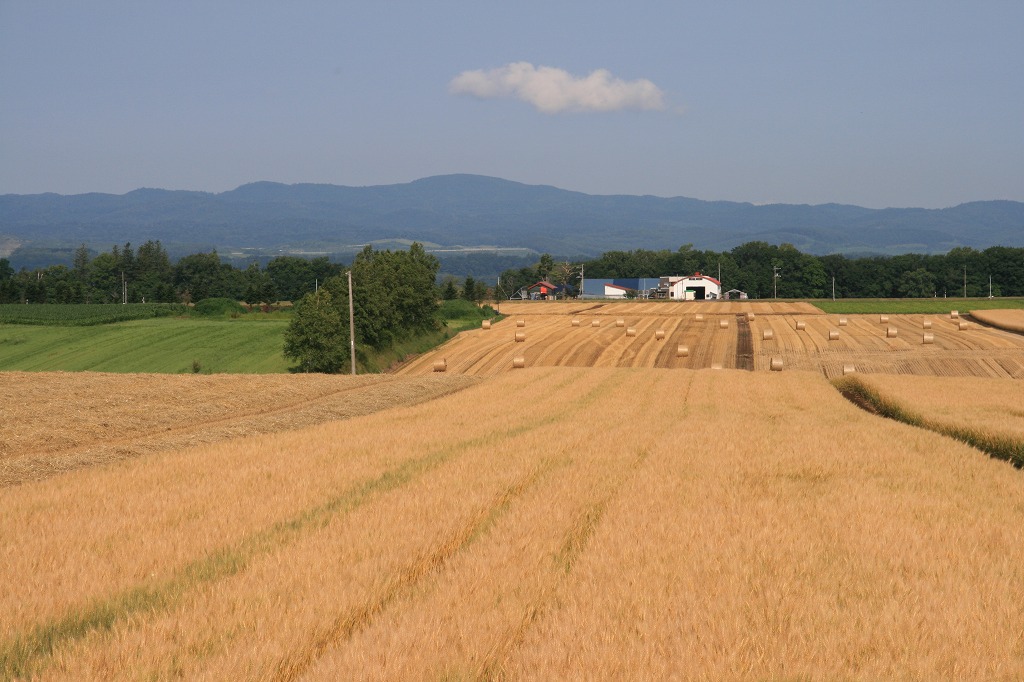 ファイル 132-4.jpg