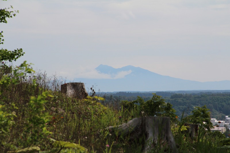 ファイル 140-5.jpg