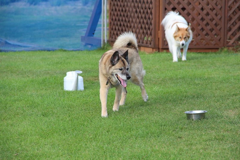 ファイル 141-1.jpg