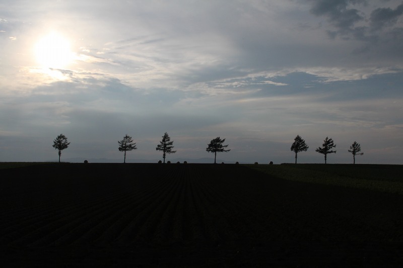 ファイル 141-3.jpg