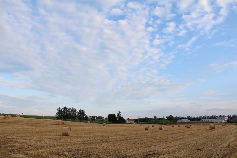 ファイル 141-5.jpg