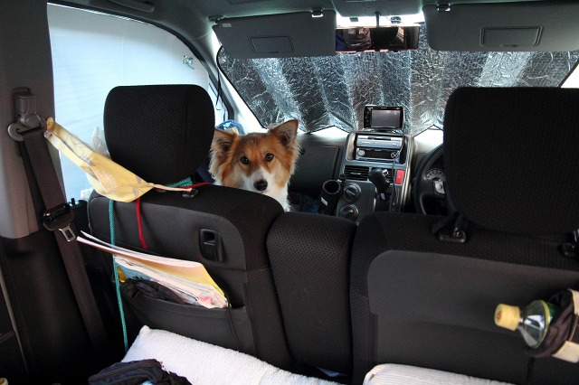 ファイル 145-2.jpg