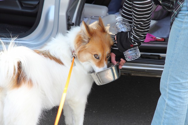 ファイル 145-5.jpg