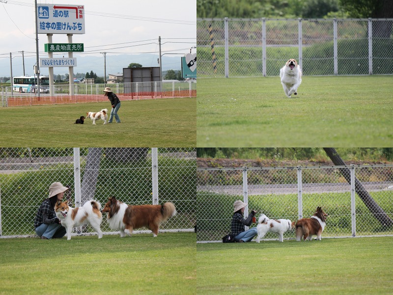 ファイル 146-1.jpg