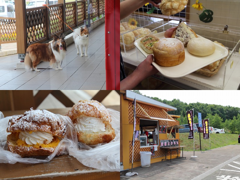 ファイル 146-2.jpg