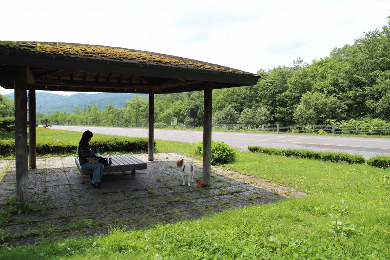 ファイル 146-4.jpg