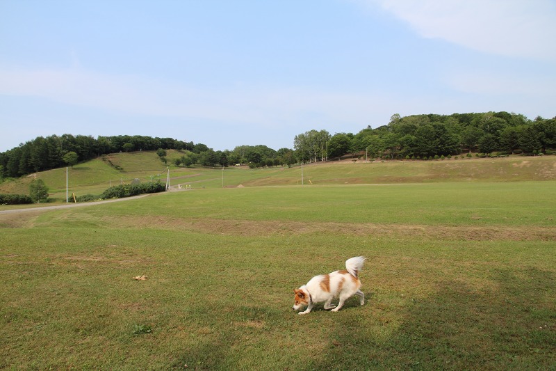 ファイル 148-1.jpg