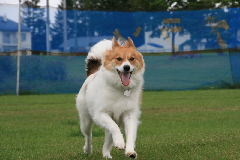 ファイル 149-1.jpg