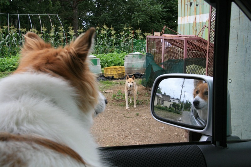 ファイル 149-2.jpg