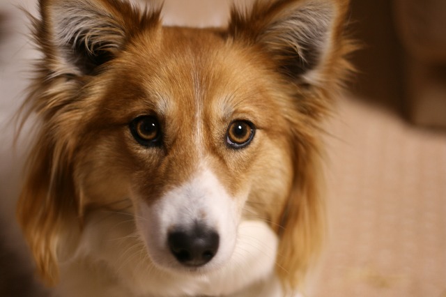 ファイル 15-3.jpg