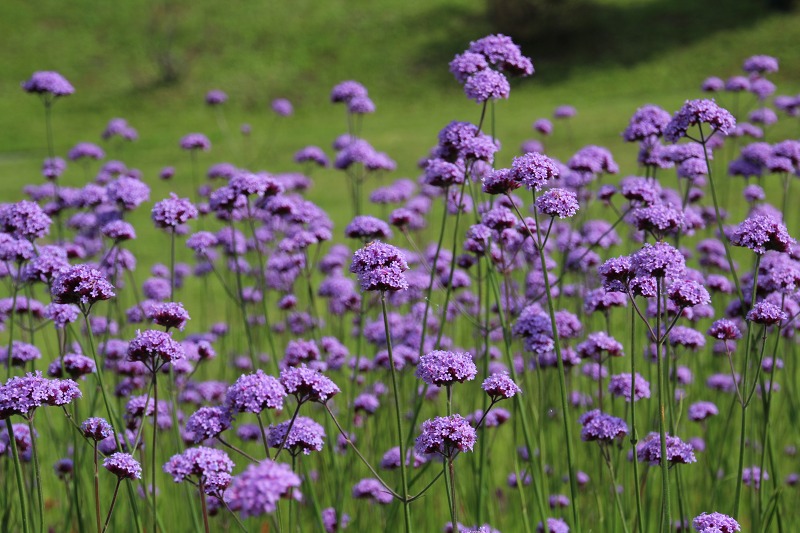 ファイル 150-3.jpg