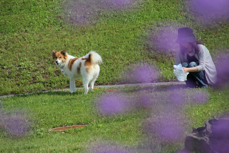 ファイル 150-4.jpg