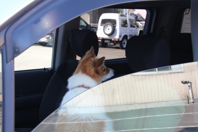 ファイル 151-5.jpg