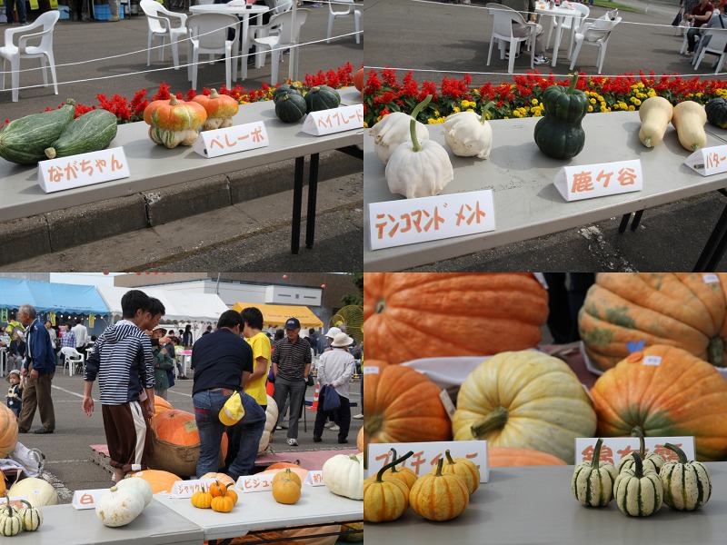 ファイル 157-4.jpg