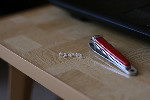 ファイル 16-1.jpg