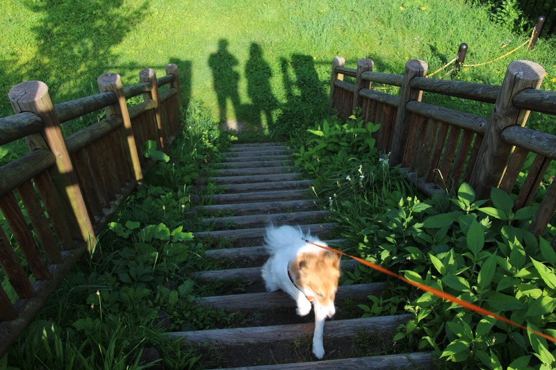 ファイル 160-2.jpg