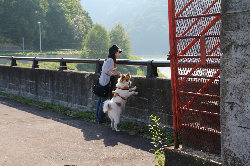 ファイル 160-5.jpg