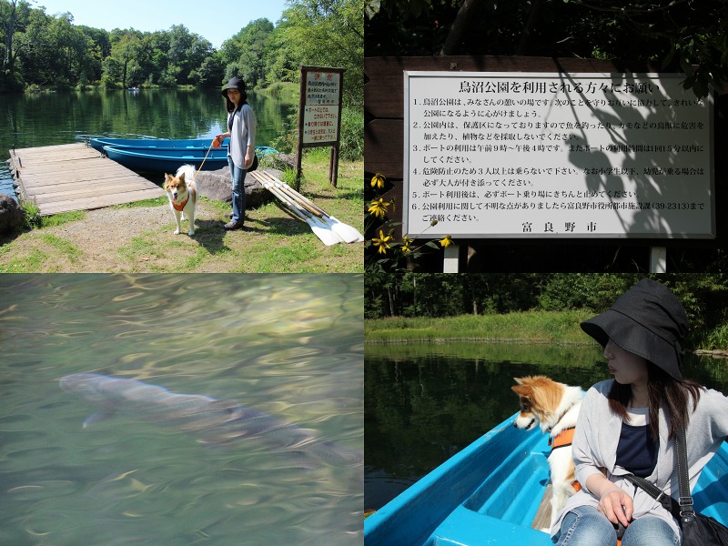 ファイル 162-3.jpg