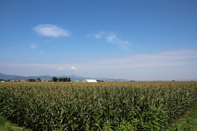 ファイル 162-5.jpg