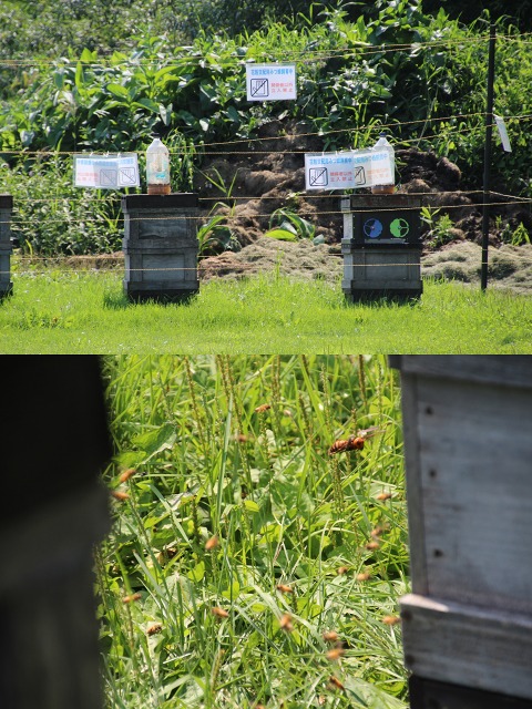 ファイル 163-5.jpg