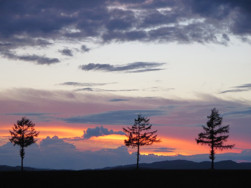 ファイル 164-5.jpg