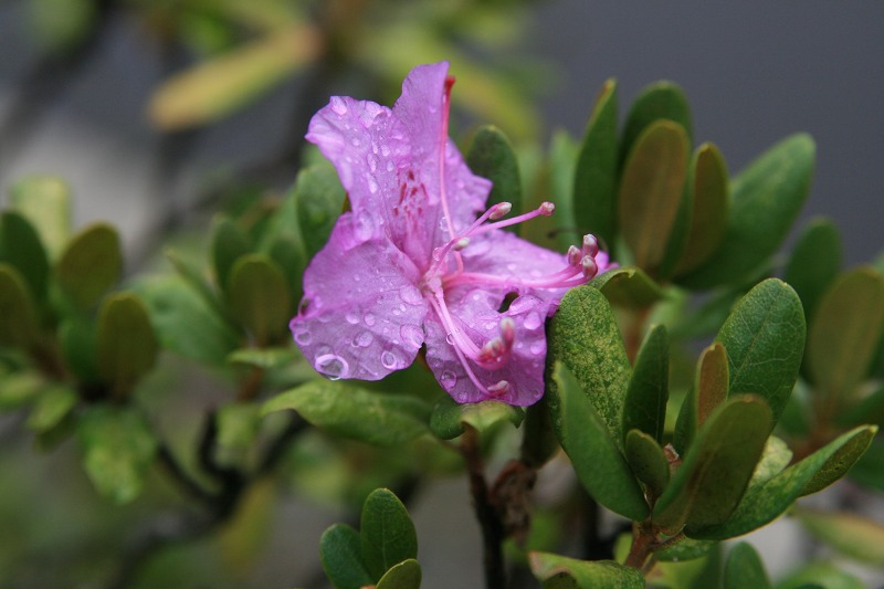 ファイル 166-1.jpg