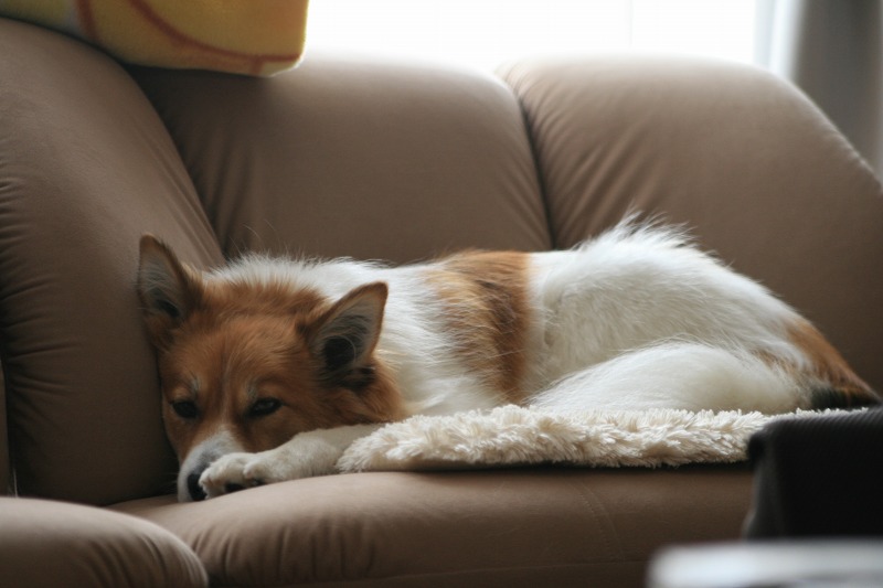 ファイル 166-3.jpg