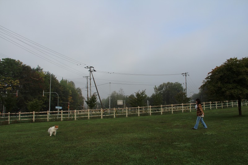 ファイル 166-4.jpg