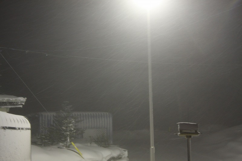 ファイル 17-2.jpg