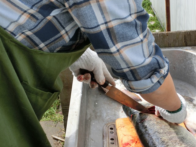 ファイル 170-2.jpg