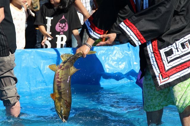 ファイル 171-4.jpg