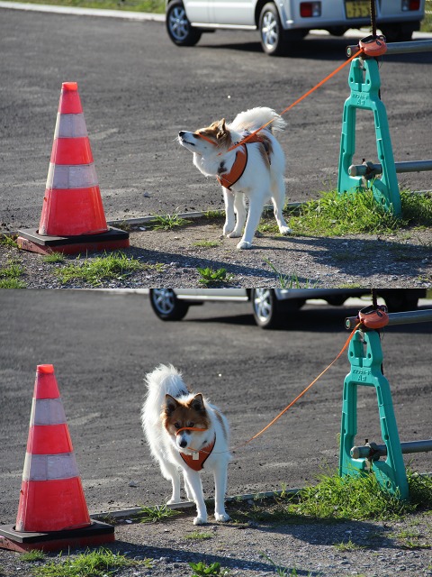 ファイル 172-2.jpg