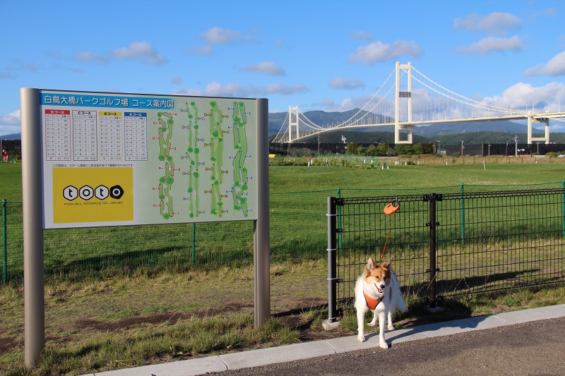 ファイル 172-3.jpg