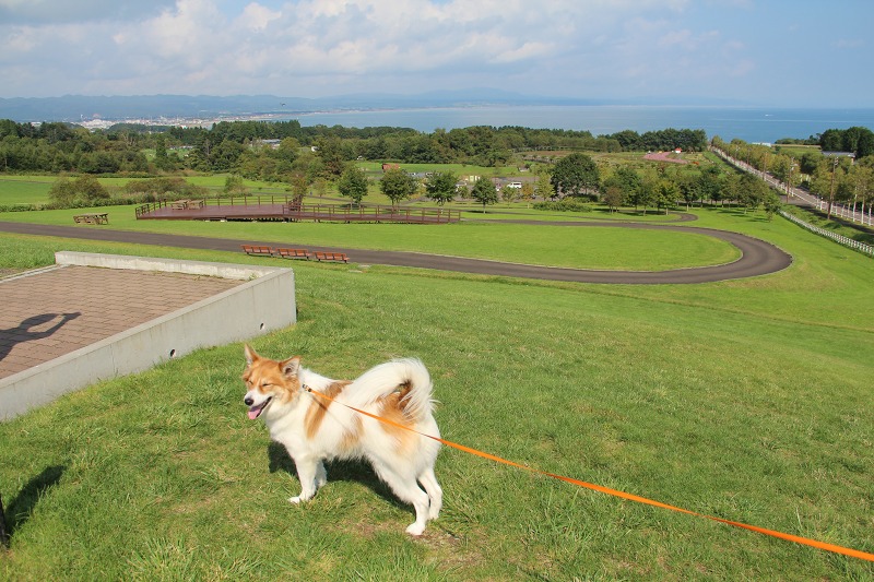 ファイル 173-5.jpg