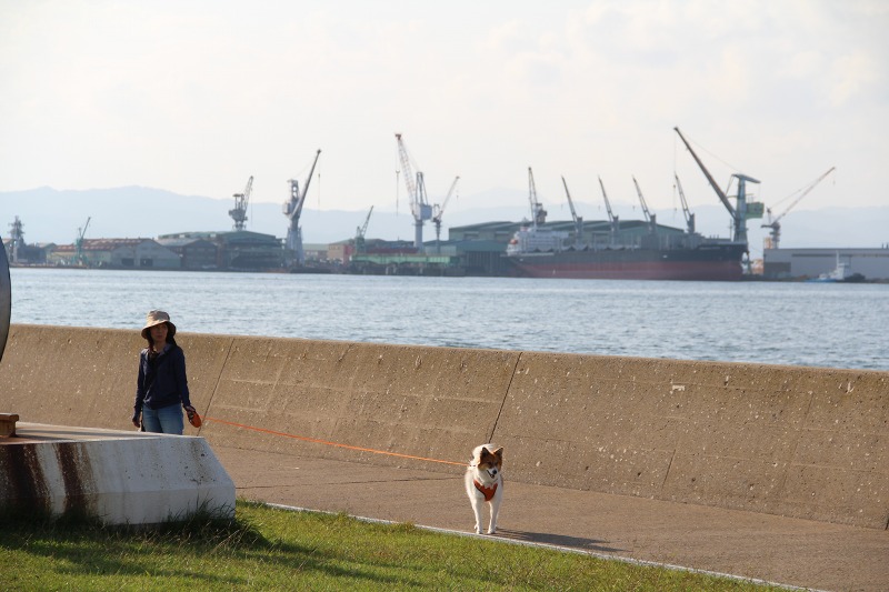 ファイル 175-3.jpg