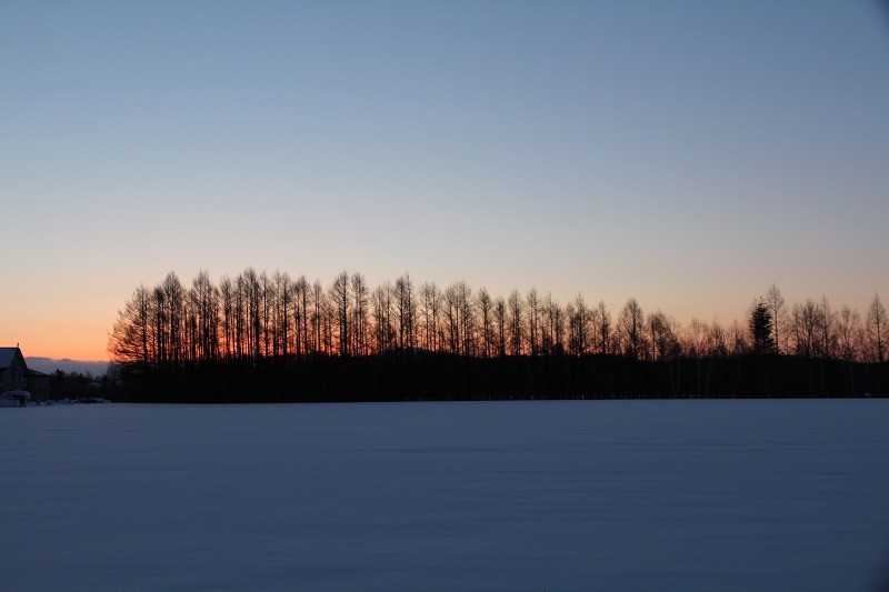 ファイル 18-1.jpg