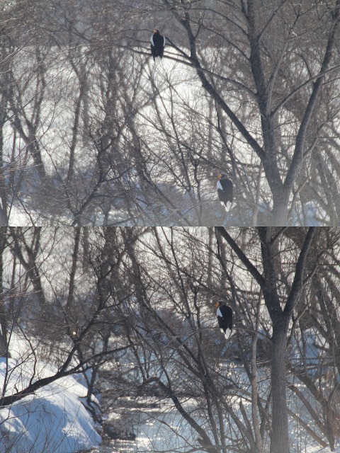 ファイル 20-2.jpg