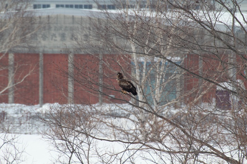 ファイル 20-3.jpg