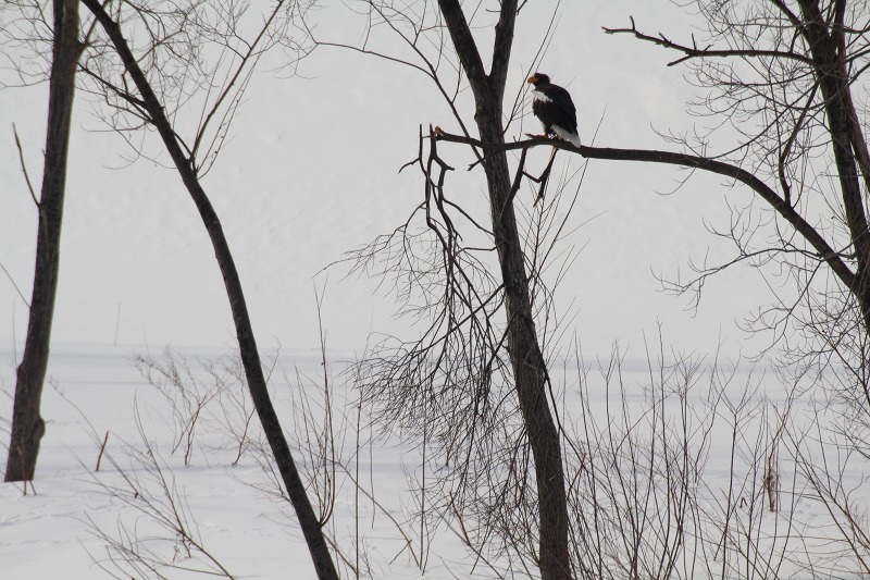 ファイル 20-4.jpg