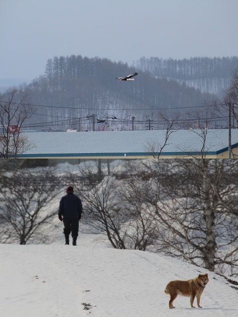 ファイル 20-5.jpg