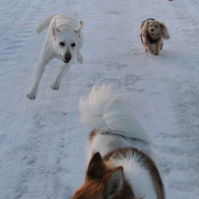 ファイル 24-2.jpg