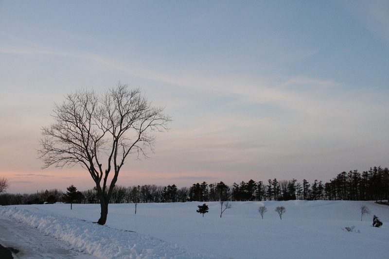 ファイル 24-3.jpg