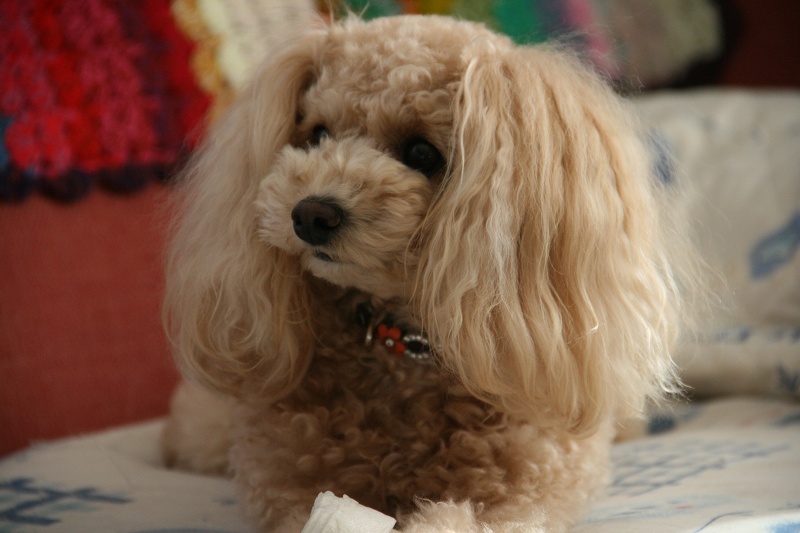 ファイル 25-1.jpg