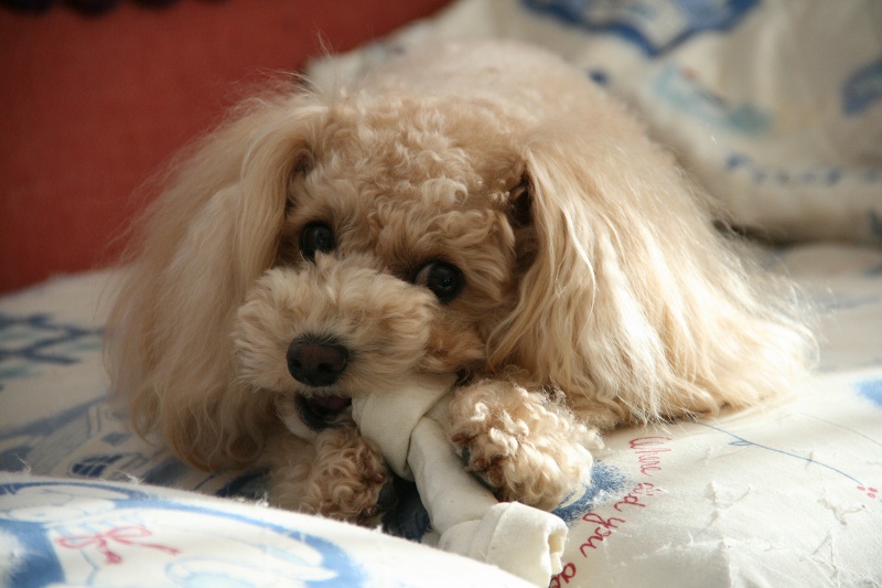 ファイル 25-2.jpg