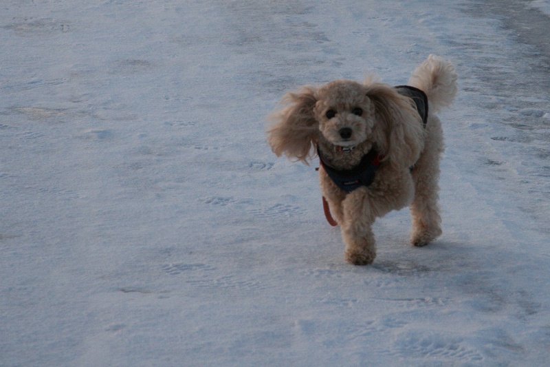 ファイル 25-3.jpg