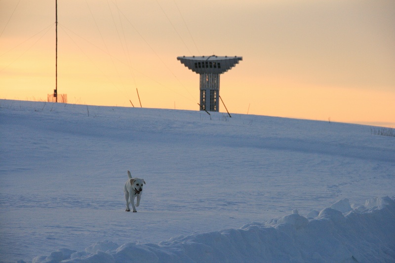 ファイル 26-1.jpg